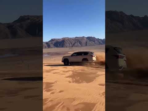  شاص رايق رايق