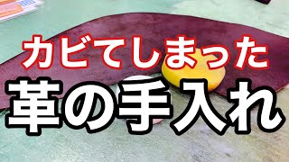 【レザー】革にカビが生えてしまっていたのでラナパーを塗って手入れしてみました