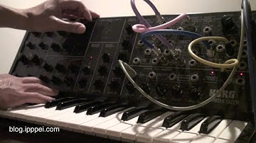 Korg MS-20 riot loop 2 #korgms20