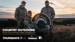 3 Fired Up Montana Merriam Turkeys - Country Outdoors Turkey Tour