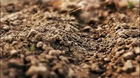 World Bank: No-Till Agriculture Prevents Soil Erosion