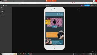 Class Project 20 - Micro interaction