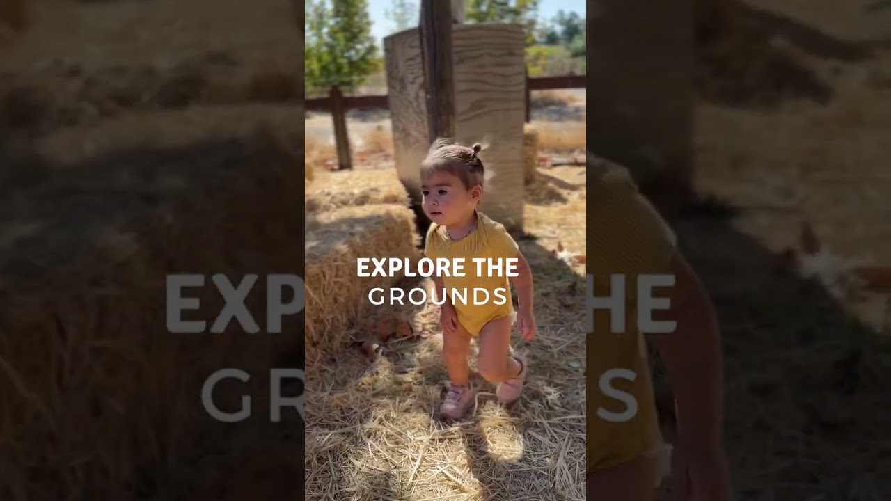 🎃Animal Farm & Pumpkin Patch | Impossible Acres Davis California - YouTube