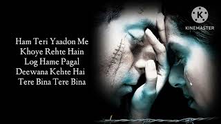TERE NAAM... 😔( Lyrics ) Udit Narayan | Alka Y | Himesh Reshammiya,Sameer @sandycartoon33