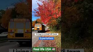 "Reality of Small Town Life in USA🇺🇸"#USA #America#SmallTownLife #USALife#AmericanLife#LifeInAmerica