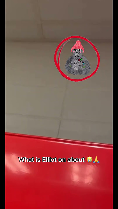 (this isn’t actually elliot btw he just sounds like him) #gorillatag #gt #vr #gtag #savegtag #viral