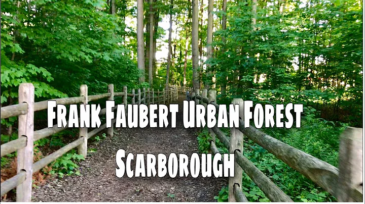 Frank Faubert Urban Forest | Scarborough Town Cent...