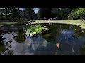 Kyoto Garden - Holland Park ( Virtual Reality / 360° )