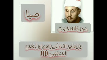 محمد عمران العنكبوت أبدع في مقام الصبا وتصوير الآيات🎤