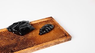 Marlène Huissoud Uses Insect By-Products To Develop New Materials