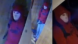 Masked intruder caught on camera stealing truck following home invasion in west Houston, police say Wealth