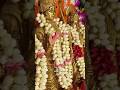 Auspicious Darshan of Ayodhya Nagri #shorts #ram #ayodhya #ramayan #laxman #sitaram #sita