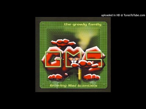 10 - GMS  - Yashu
