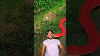 Allah Tala ik Madad #trending #ytshorts #viralvideo #shorts #islam #prayer #viral