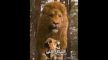 أسد ضد ديناصور شاهد الفيديو لتعرف من هو الملك 