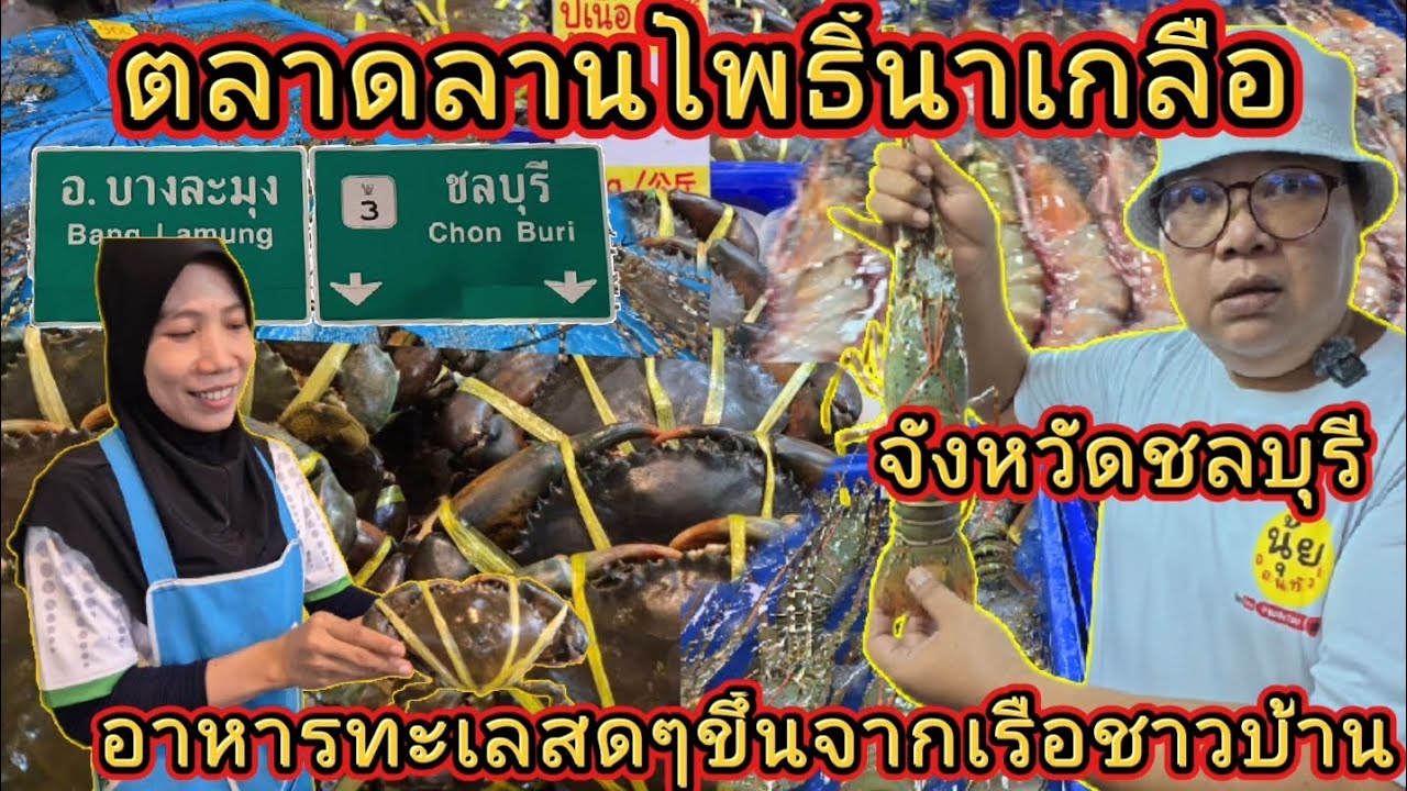 ตลาดลานโพธิ์นาเกลือ | จังหวัดชลบุรี | อาหารทะเลสดๆขึ้นจากเรือชาวบ้าน | @NuiOnTour #นุ้ยออนทัวร์
