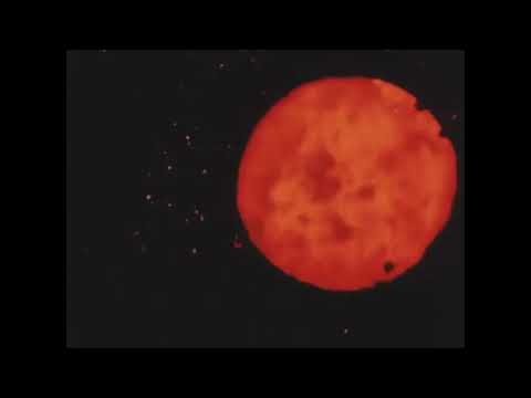 Ivan The Tolerable And His Elastic Band - Night Hospital (Official Video)