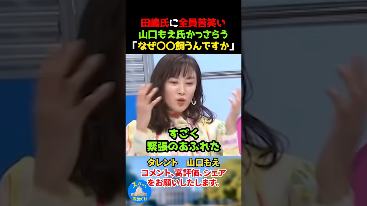 必見！田嶋氏が言い返せなかった山口もえの一言w #竹田恒泰 #山口もえ
