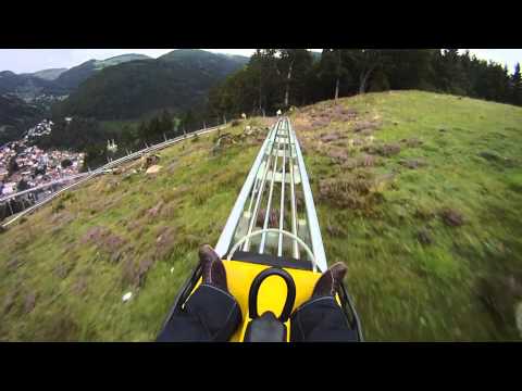 Todtnau Hasenhorn Rodelbahn Max. Speed [HQ]