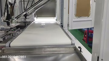 Delta robot spider arm sorting machine for electronic product