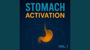 06 Stomach Activation, Vol.1