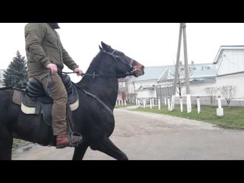 Инаход Мансур Кабардинец