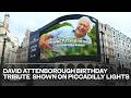 David Attenborough birthday tribute played on Piccadilly Circus screens