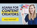 Create an instagram content calendar from scratch  asana for content creators