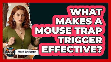 What Makes A Mouse Trap Trigger Effective? - Insects and Invaders