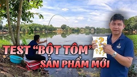 Câu Đài | Test sản phẩm mới "Bột tôm" câu cá rô phi đập Phước Hoà
