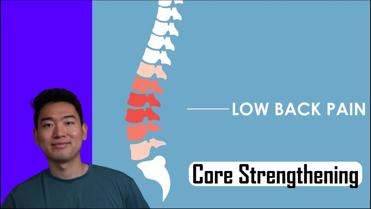 Why does Core Strengthening help with Low Back Pain? YouTube