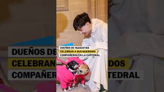 Dueños de MASCOTAS celebran a sus queridos compañeros en la CATEDRAL de Nueva York
