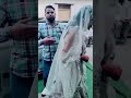 roka 14 feb #love #rokaday #cute #lifeline #couple #shorts #short #pooshu #new #trending #ytshorts