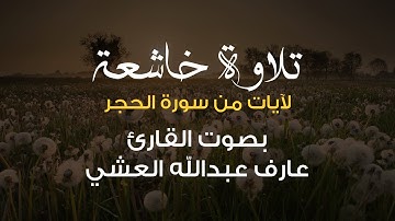 تلاوة خاشعة لآيات من سورة الحجر من الختمة المرتلة للقارئ الشيخ| عارف عبدالله العشي