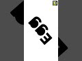 Logo design | Illustrator