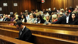 Pistorius shot using 'primal instincts', defence says