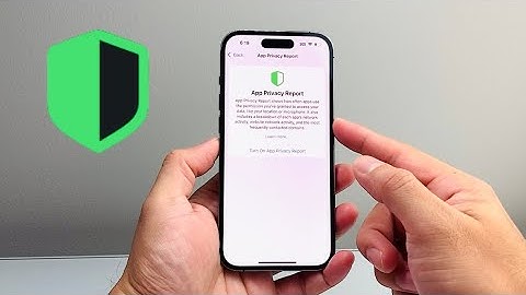 How To Turn On App Privacy Report on iPhone