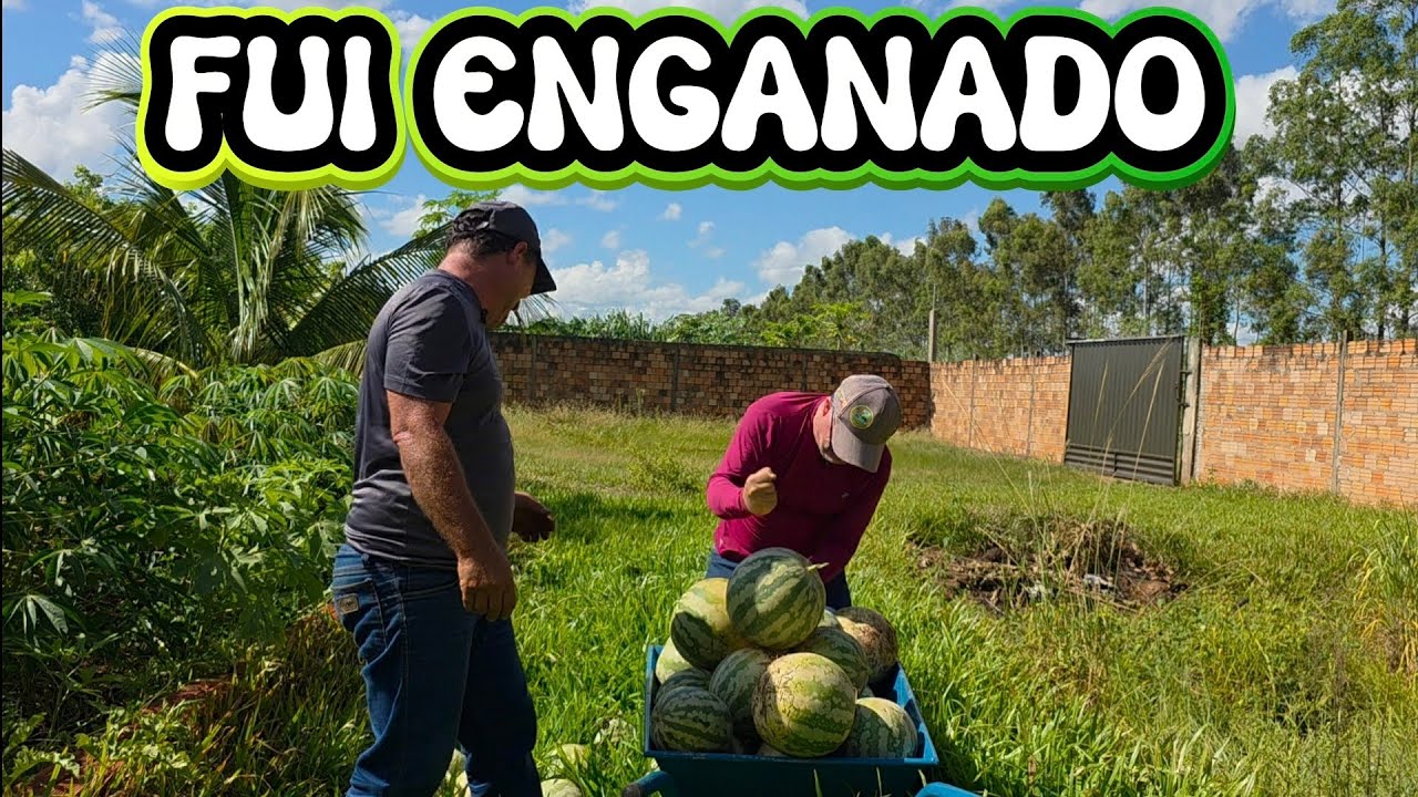 Fui Enganado Pela  Natureza E Pela Minha Burrice, Veja O Que  Aconteceu  Na Chácara...