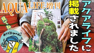 【アクアリウム】アクア雑誌最大手のアクアライフに掲載して頂きました（月刊アクアライフ増刊パルダリウムとアクアテラリウム）