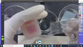Diffusion Lab 20 min Data Collection
