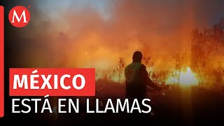 Ola de incendios forestales devasta varios estados de México