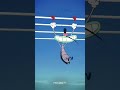 # viral # shorts# trending# youtube # youtube shorts # earning # newvifeo # anime# free fire max