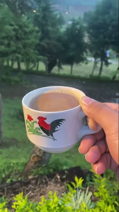 kopi di pagi hari, dengan suasana perbukitan. #shorts  #storywa