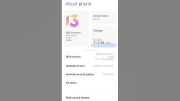 Mi 11X | Add Dev Settings | Open Dev Mode | Xiaomi