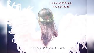 Cinematic Orchestral Music \