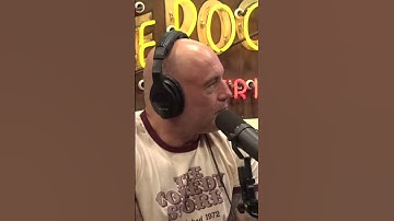 Could Coconut Crabs Hold the Key to Amelia Earhart