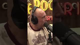 Could Coconut Crabs Hold The Key To Amelia Earharts Mysterious Disappearance?