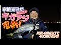 東京湾ボートにて家邊克己がPSR-60NEXTでギガアジ爆釣！！