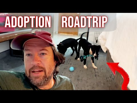 Our Adoption Roadtrip to North Carolina Has A Twist Ending!