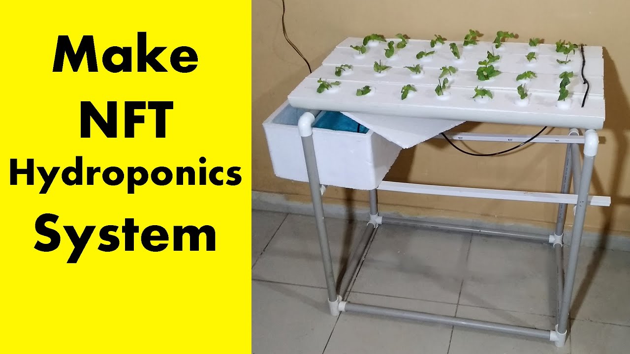 how to make nft hydroponics system - PVC pipe hydroponics system - YouTube
